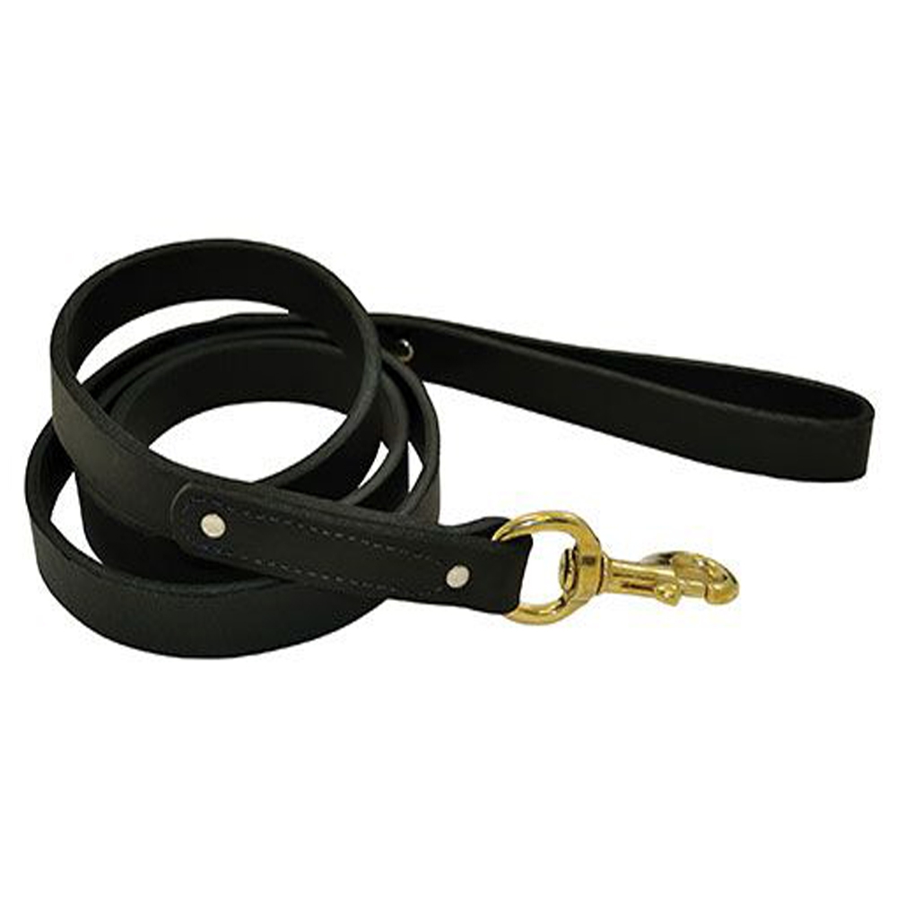 LEATHER DOG LEAD